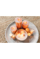 Home Society Stompkaars | 9 x10 | Peach | Home Society