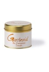 Lily-flame  Geurkaars | Lily Flame  | Gardenia