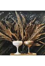 My flame Lifestyle Sojakaars  | You are gold. Solid gold  | Silky Tonka | My Flame