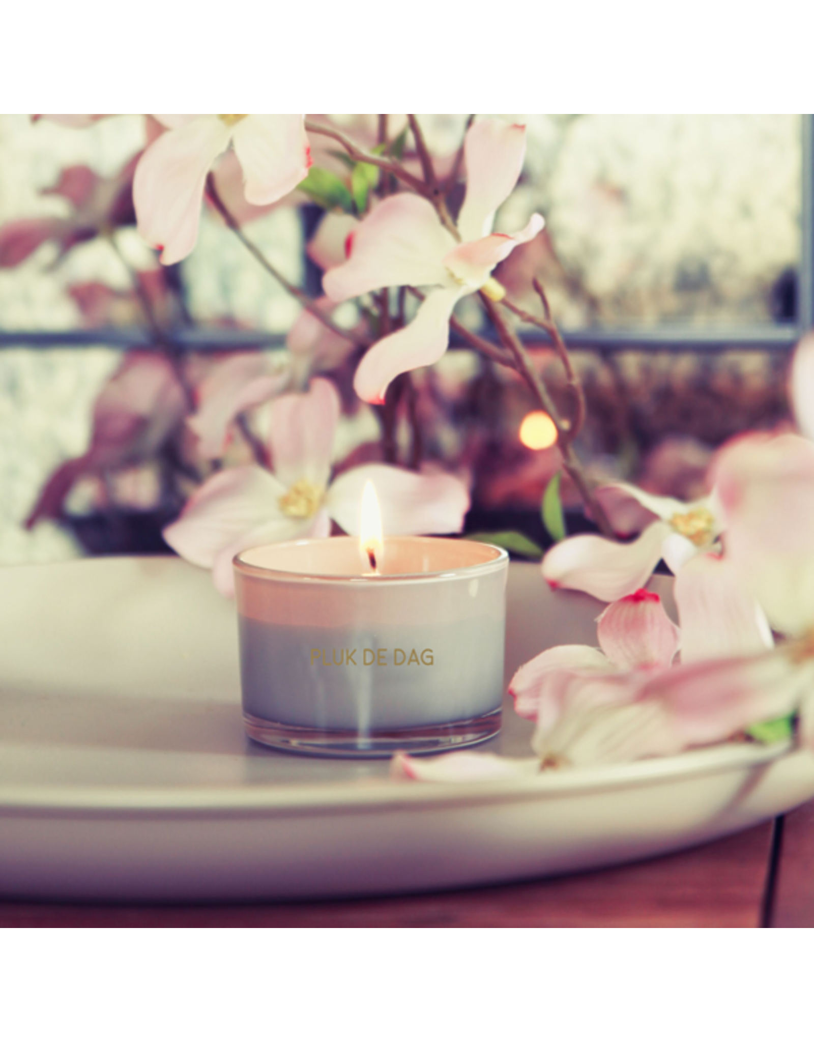 My flame Lifestyle Soja geurkaars | Pluk de dag | My Flame