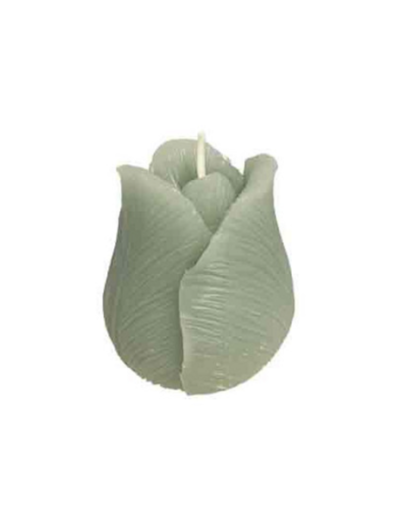 Home Society Kaars Tulp | celadon | Home Society