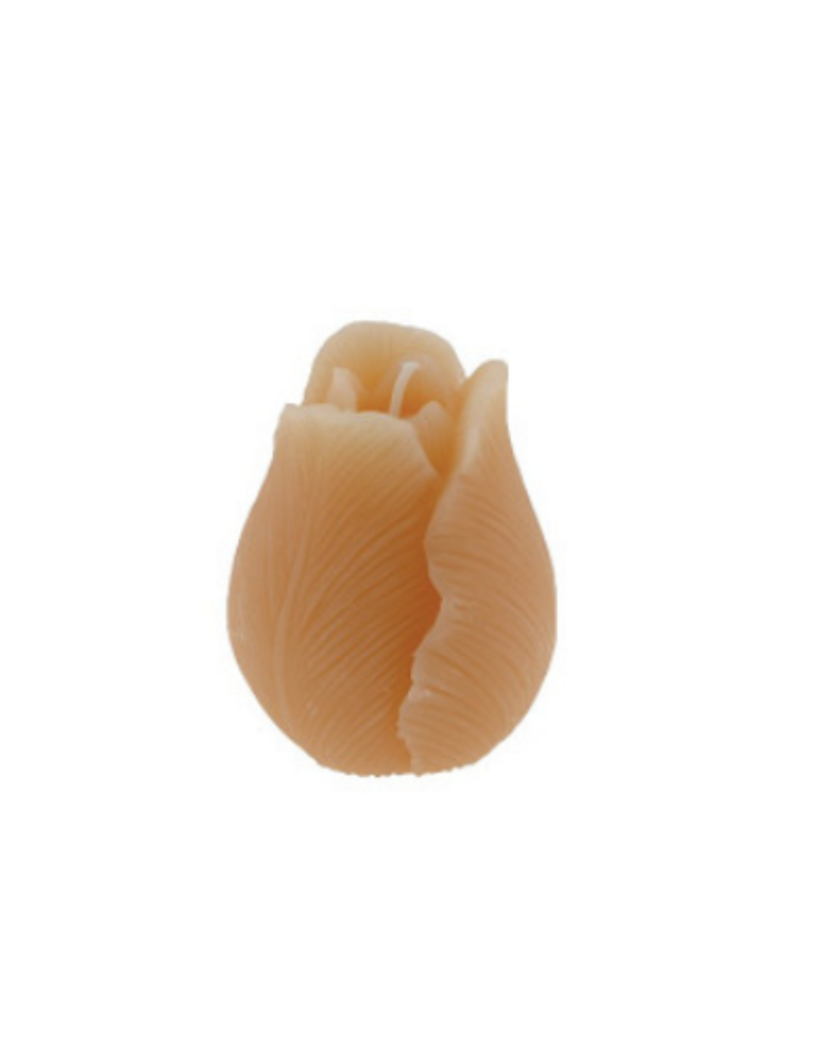 Home Society Kaars Tulp | peach | Home Society