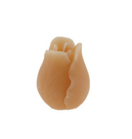 Home Society Kaars Tulp | peach | Home Society
