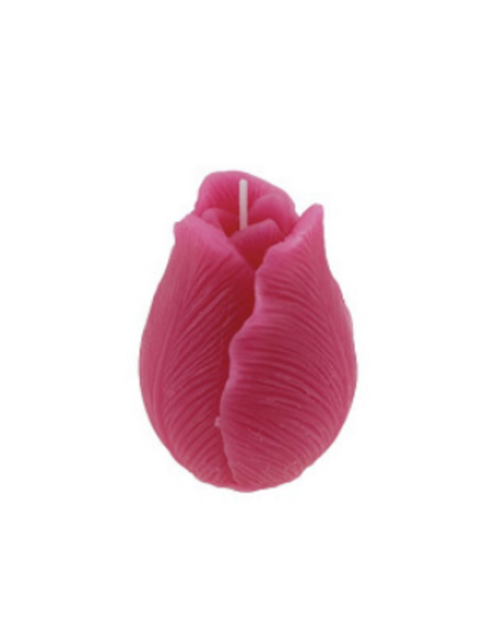 Home Society Kaars Tulp | roze | Home Society