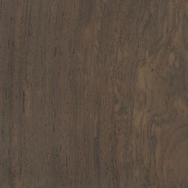 Leadwood texture wood sample