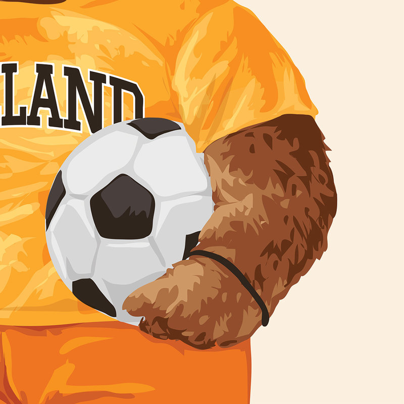 holland world cup shirt