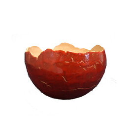 Bolschaal 25cm