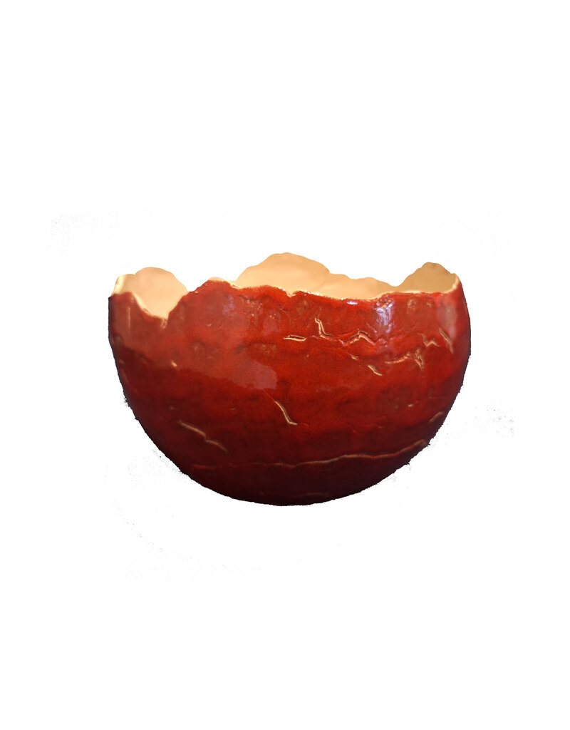Bolschaal 25cm