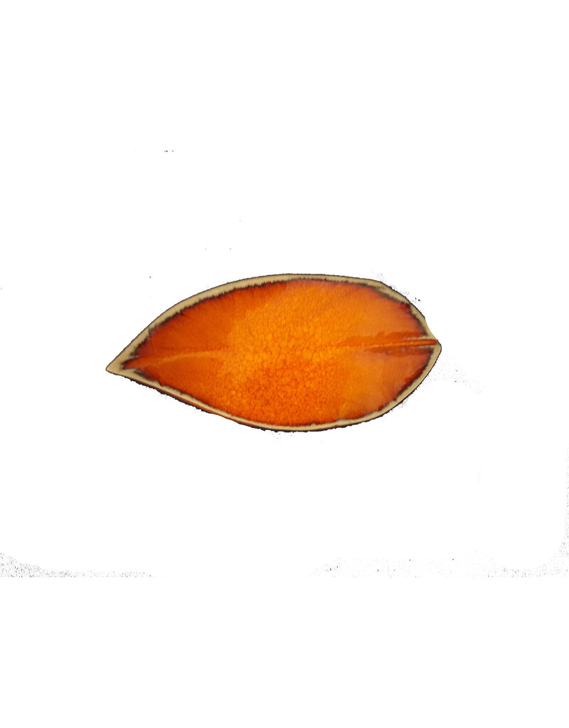 Karamieke theetipje
