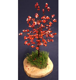Appelboompje