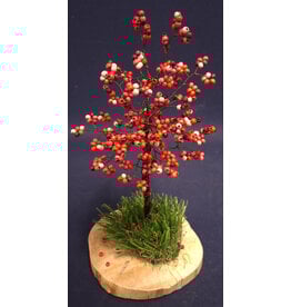 Appelboompje
