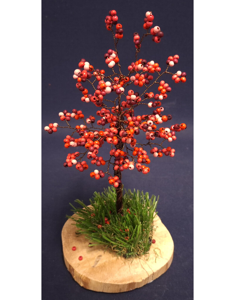 Appelboompje