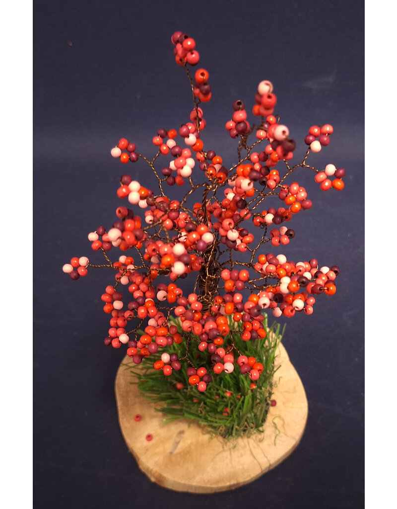 Appelboompje