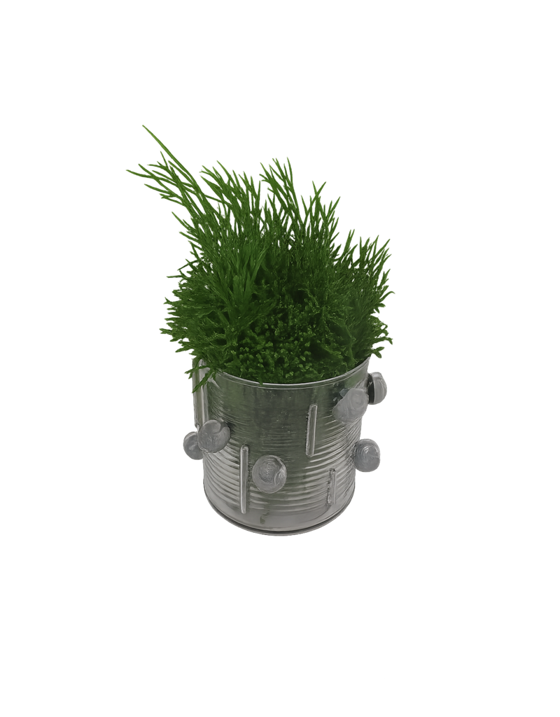 Bloempot