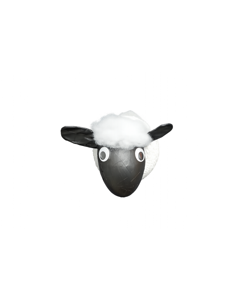 Schaap
