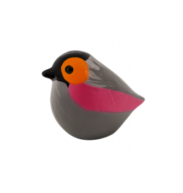 Gekleurde vogel