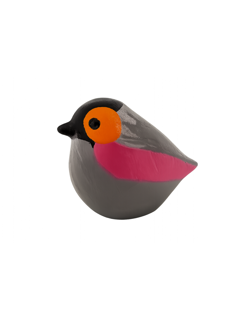 Gekleurde vogel