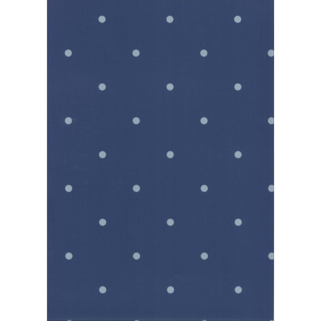 Fabs World Behang Kinderkamer Dots Blauw/Grijs Fabs World