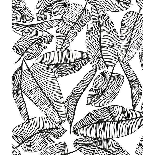 Lilipinso Wallpaper - Leaves Tropical Serengeti Lilipinso