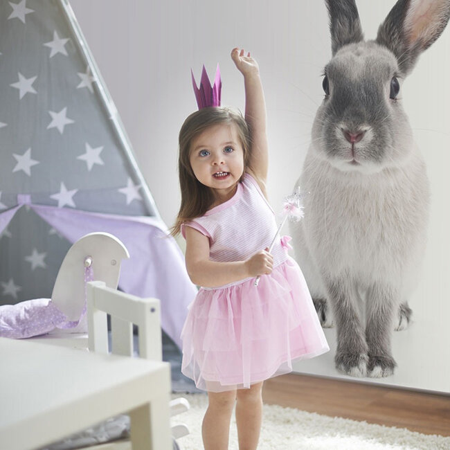 Dekornik Muursticker Kinderkamer Harry The Rabbit
