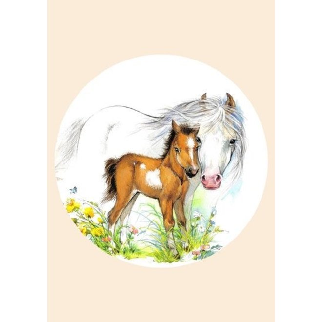 Poster Kinderkamer Veulen met Paard A3