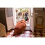 Lorena Canals Beanbag Cathy the Carrot Lorena Canals