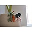 Lorena Canals Kinderkamer Opbergmand Veggies Lorena Canals
