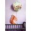 Hartendief Hartendief Wonder Wandlamp Zomernacht
