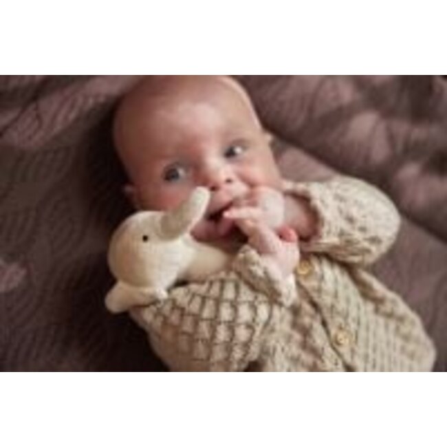 Jollein Rammelaar Elephant Nougat Jollein