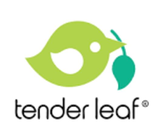 Tender Leaf Toys