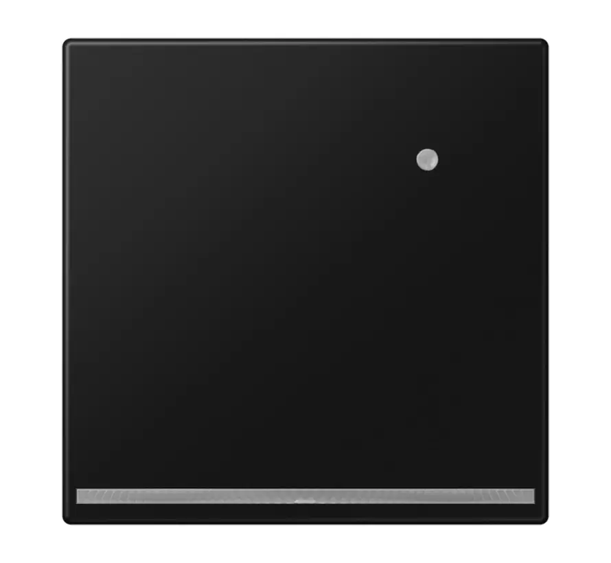 LED-orientatieverlichting met geïntegreerde lichtsensor LS990 grafietzwart mat (LS 1539-O SWM LNW)