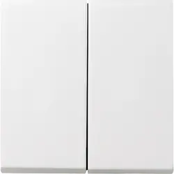 Gira schakelwip 2-voudig Systeem 55 wit glans oud model (029503)