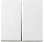schakelwip 2-voudig Systeem 55 wit glans oud model (029503)