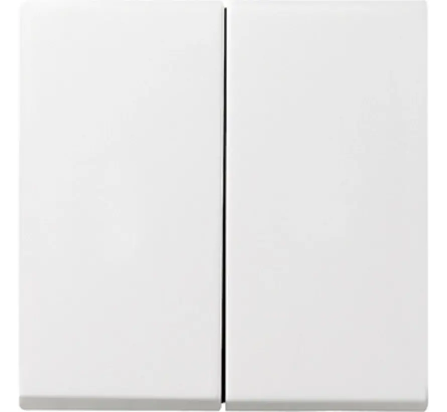 schakelwip 2-voudig Systeem 55 wit glans oud model (029503)