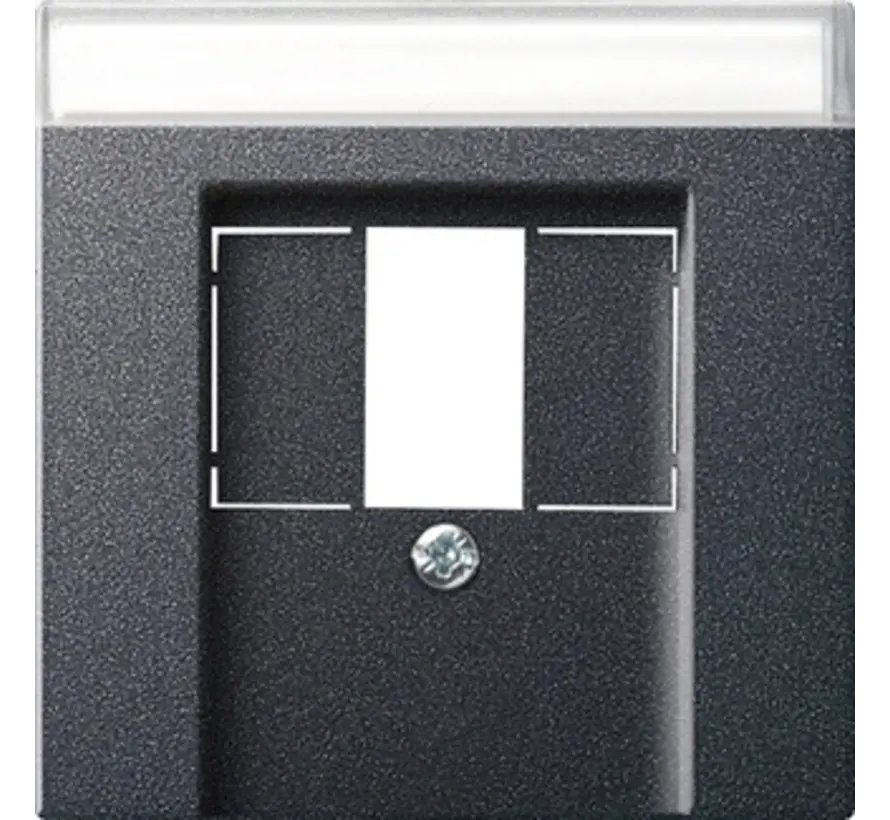 centraalplaat USB met tekstkader Systeem 55 antraciet mat (087628)