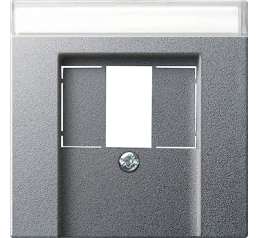 centraalplaat USB met tekstkader Systeem 55 aluminium mat (087626)
