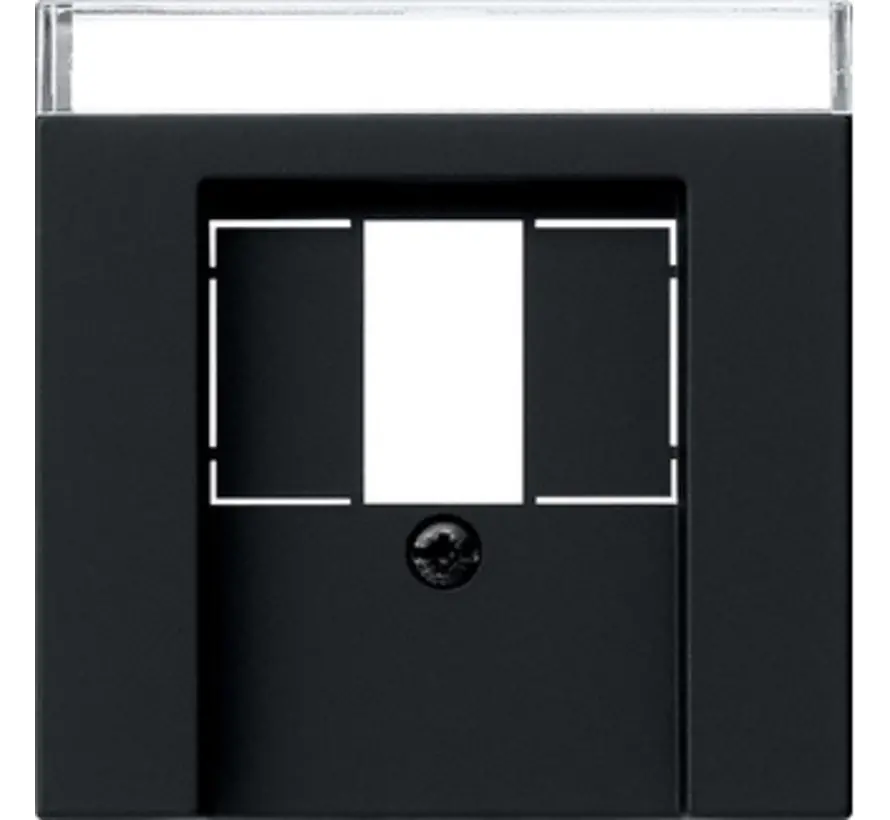 centraalplaat USB met tekstkader Systeem 55 zwart mat (0876005)
