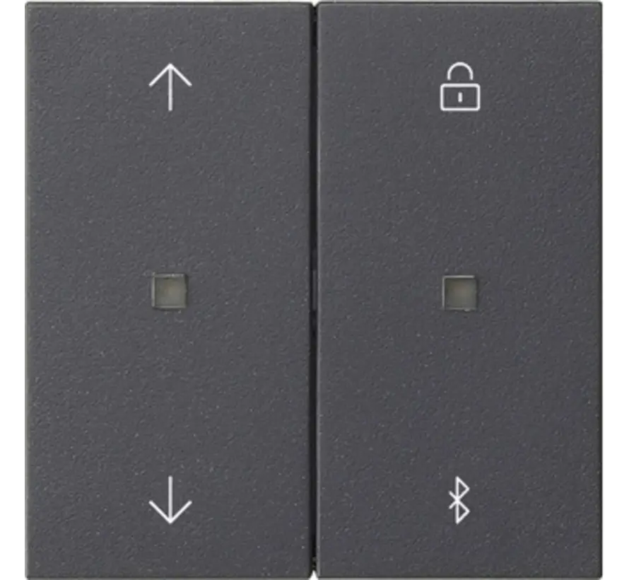 Bluetooth bedieningselement met pijlsymbolen Systeem 3000 Systeem 55 antraciet mat (536728)