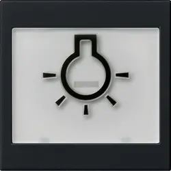 Gira schakelwip tekstkader groot symbool licht Systeem 55 zwart mat (0216005)