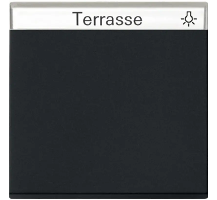 schakelwip tekstkader Systeem 55 zwart mat (0299005)