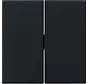 schakelwip 2-voudig Systeem 55 zwart mat oud model (0295005)
