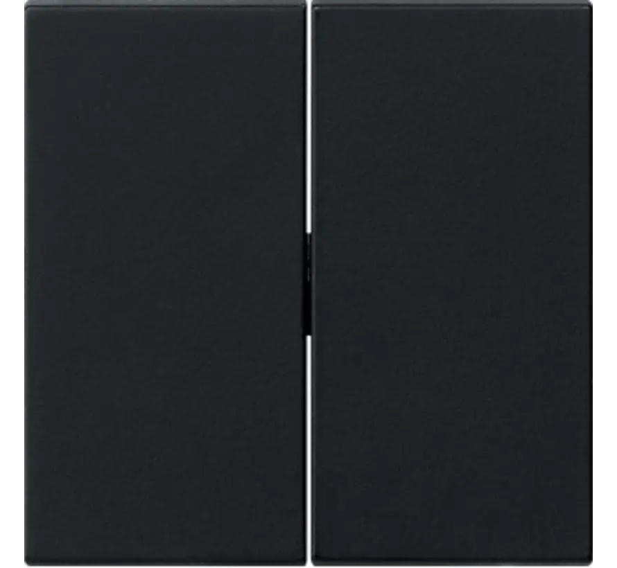 schakelwip 2-voudig Systeem 55 zwart mat oud model (0295005)
