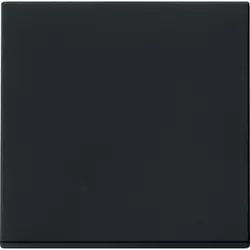 Gira schakelwip Systeem 55 zwart mat oud model (0296005)