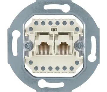 Berker RJ45 data wandcontactdoos CAT3 2-voudig 8-aderig (4539)