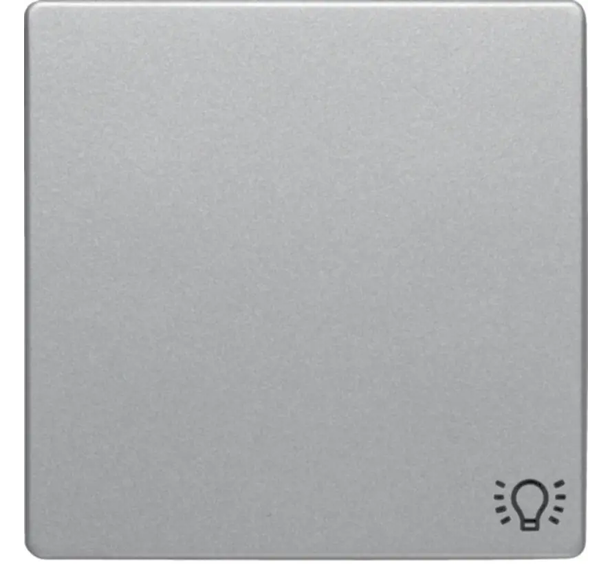 schakelwip symbool licht Q1/Q3/Q7 aluminium (16206044)