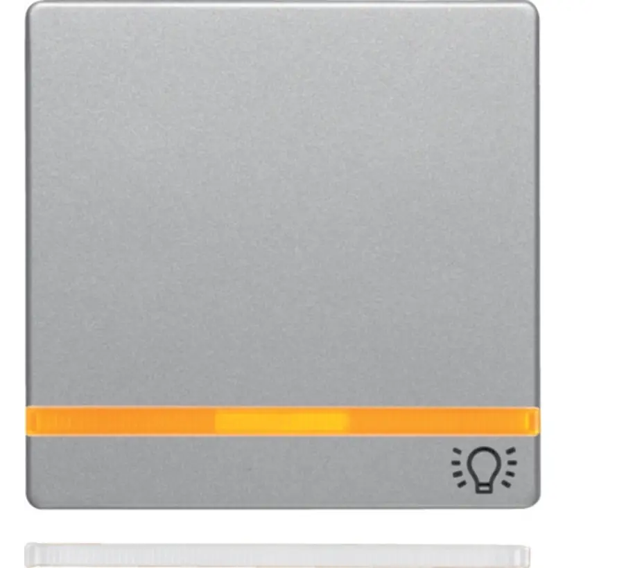 schakelwip controlevenster symbool licht Q1/Q3/Q7 aluminium (16216074)
