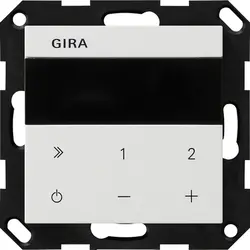 Gira internetradio inbouw Systeem 55 wit mat (232027)