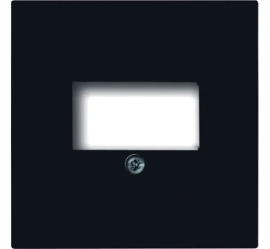 centraalplaat USB / luidspreker antraciet glans (1766-81)