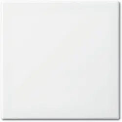 Busch-Jaeger schakelwip enkel Balance SI wit glans (2506-914)