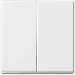 Busch-Jaeger schakelwip 2-voudig Balance SI wit glans (2505-914)